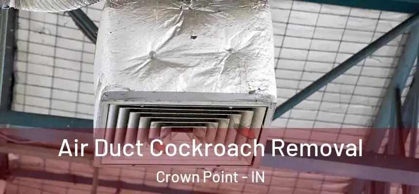  Air Duct Cockroach Removal Crown Point - IN
