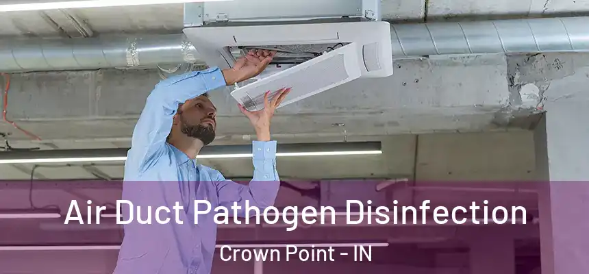  Air Duct Pathogen Disinfection Crown Point - IN