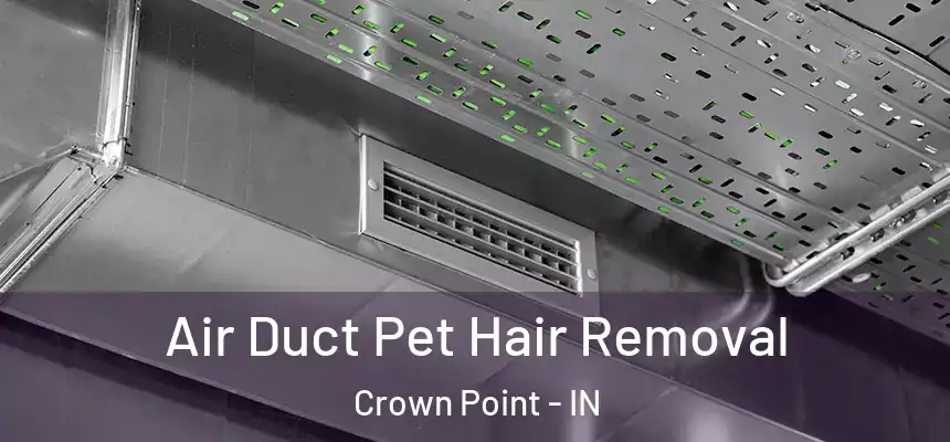 Air Duct Pet Hair Removal Crown Point - IN