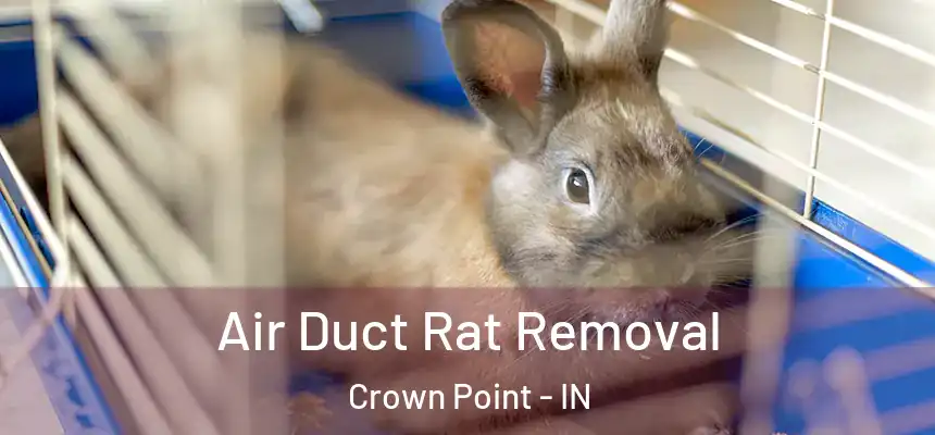 Air Duct Rat Removal Crown Point - IN