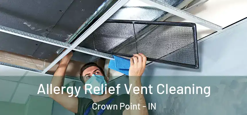  Allergy Relief Vent Cleaning Crown Point - IN