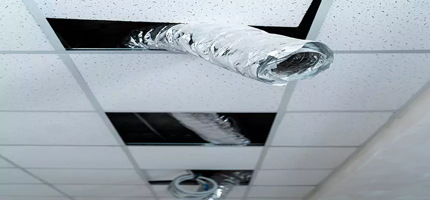 Affordable HVAC Sanitizing After Pest Removal in Crown Point