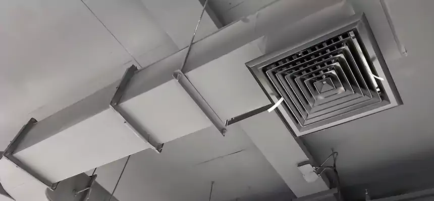 Restorative Allergy Relief Vent Cleaning – Coil, Blower & Housing Detail in Crown Point