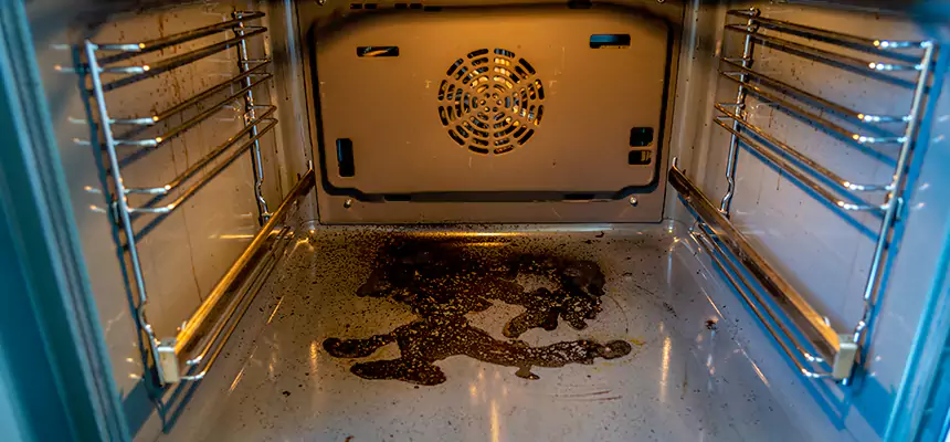 Our Dryer Vent Mold Cleaning Services in Crown Point, IN