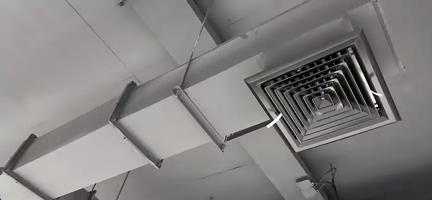 Our Rodent Droppings In Vents Services in Crown Point, IN