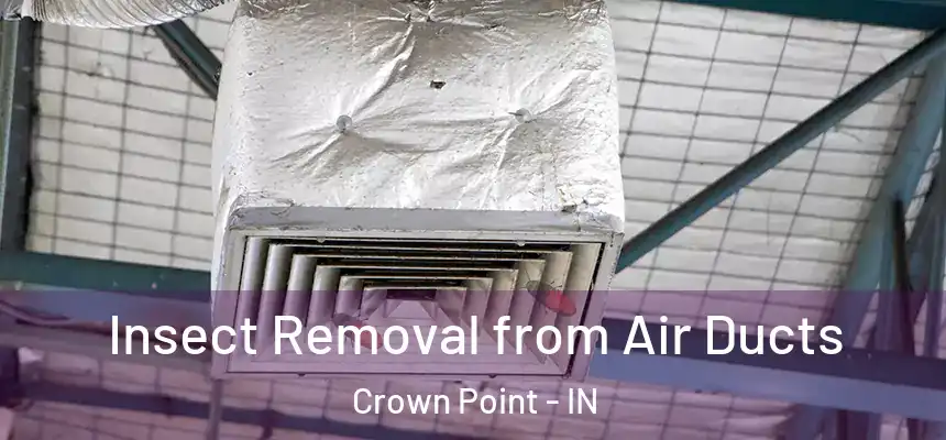  Insect Removal from Air Ducts Crown Point - IN