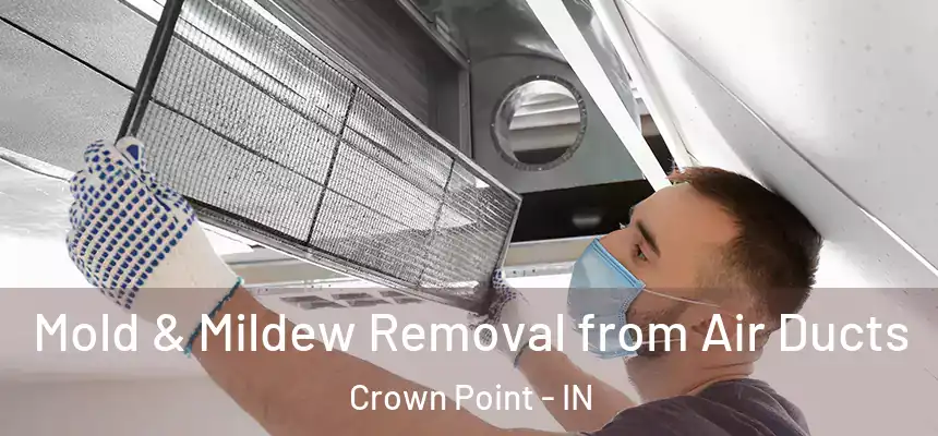  Mold & Mildew Removal from Air Ducts Crown Point - IN