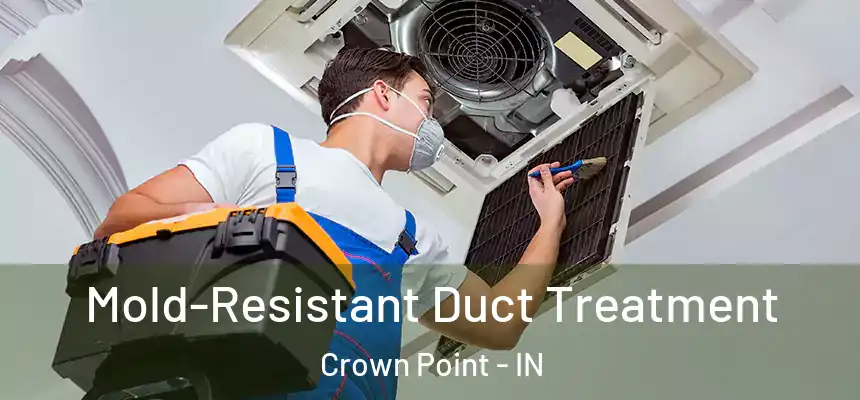 Mold-Resistant Duct Treatment Crown Point - IN