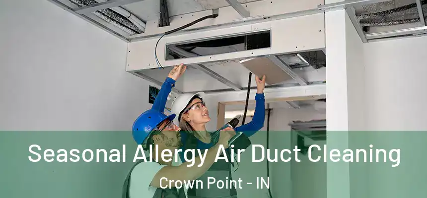 Seasonal Allergy Air Duct Cleaning Crown Point - IN