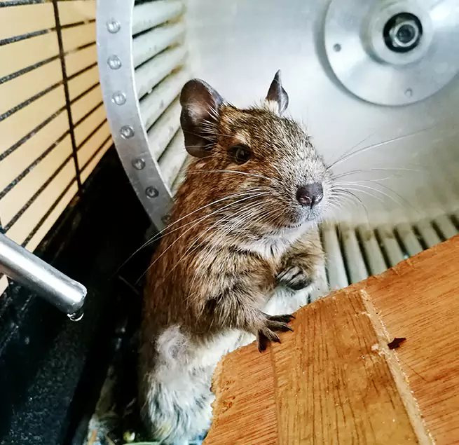 Why Homeowners & Businesses Trust Us Crown Point, IN